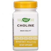 Комплекс для профилактики работы головного мозга Nature's Way Choline 500 mg 100 Veg Tabs NWY-40460