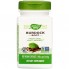 Корень лопуха Nature's Way Burdock Root 475 mg 100 Caps NWY-11200