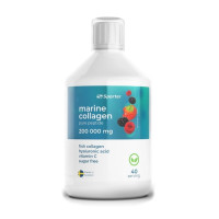 Хондропротектор (для спорта) Sporter Marine Collagen 500 ml /40 servings/ Berry