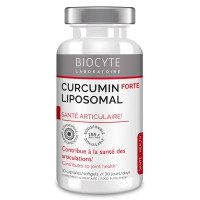 Куркума Biocyte Curcumin X 185  30 Caps