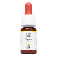 Комплекс для профілактики нервової системи Guna Fiori di Bach flowers Chestnut bud 10 ml