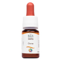 Комплекс для профілактики нервової системи Guna Fiori di Bach flowers Gorse 10 ml