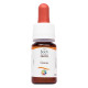 Комплекс для профілактики нервової системи Guna Fiori di Bach flowers Gorse 10 ml