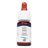 Комплекс для профілактики нервової системи Guna Fiori di Bach flowers Sweet chestnut 10 ml