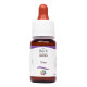 Комплекс для профілактики нервової системи Guna Fiori di Bach flowers Vine 10 ml