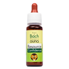 Комплекс для профілактики нервової системи Guna Fiori di Bach flowers Resource Confidence 20 ml