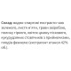 Комплекс для профілактики серця Екомед Холенорм 30 мл /15 порцій/