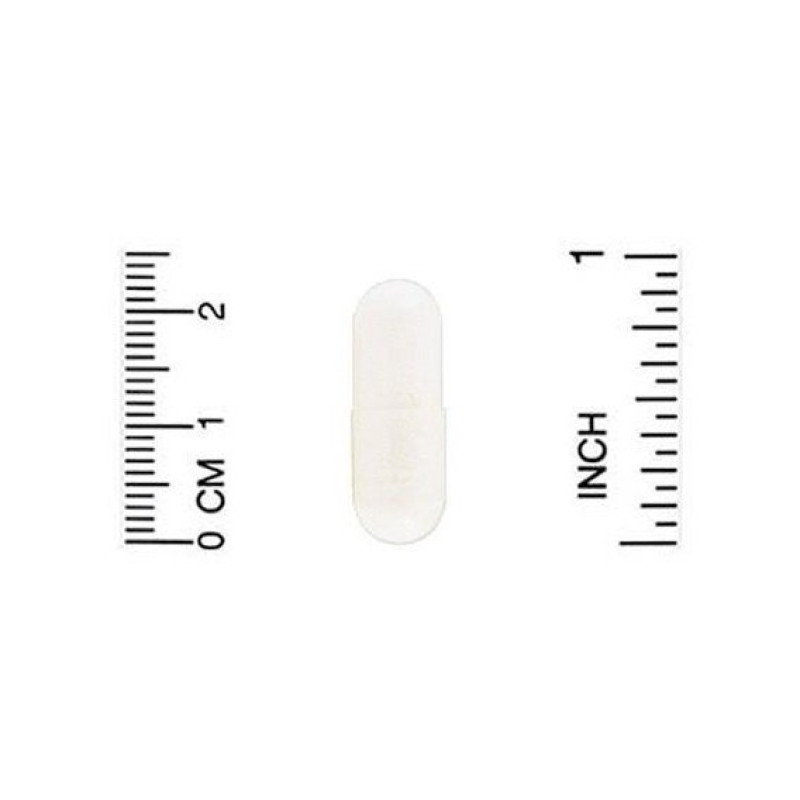 Пробіотик California Gold Nutrition LactoBif Probiotics, 5 Billion CFU 60 Veg Caps CGN00963