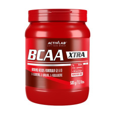 Амінокислота BCAA для спорту Activlab BCAA Xtra 500 g /50 servings/ Orange