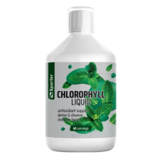 Комплекс для травлення Sporter Chlorophyll Liquid 450 ml /45 servings/ Natural Mint Flavor