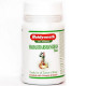 Суміш екстрактів Baidyanath Mahasudarshan Ghan Bati 40 Tabs