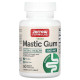 Смола мастикового дерева Jarrow Formulas Mastic Gum 500 mg 60 Veg Caps