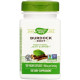 Корінь лопуха Nature's Way Burdock Root 475 mg 100 Caps NWY-11200