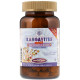 Витаминно-минеральный комплекс Solgar Kangavites, Complete Multivitamin & Mineral Children's Formula 120 Chewable Tabs Berry Flavor