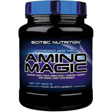 Амінокомплекс для спорту Scitec Nutrition Amino Magic 500 g /25 servings/ Orange
