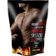 Комплекс до тренування Power Pro Pumping System Extra Energy 500 g /20 servings/ Мохито